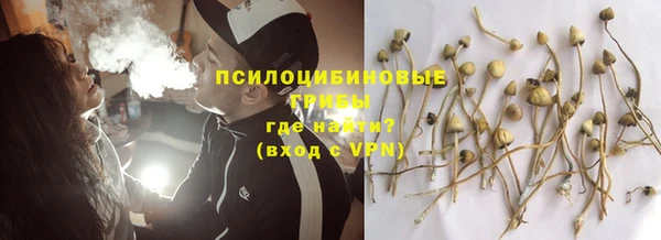 прущие грибы Приозерск