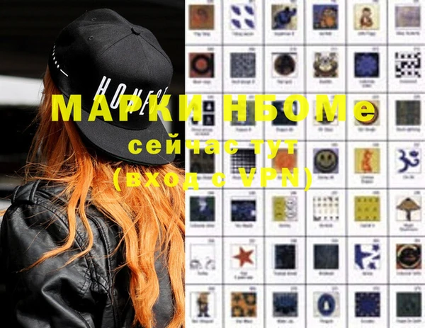 прущие грибы Приозерск