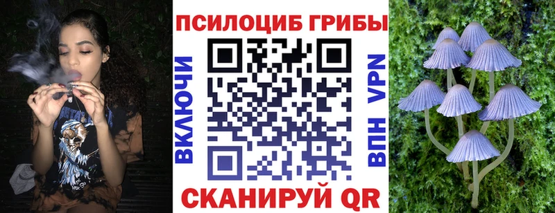 Купить где  Армавир  Псилоцибиновые грибы мицелий 
